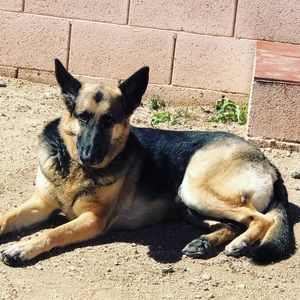 Meet your Posher, Wladyslawa